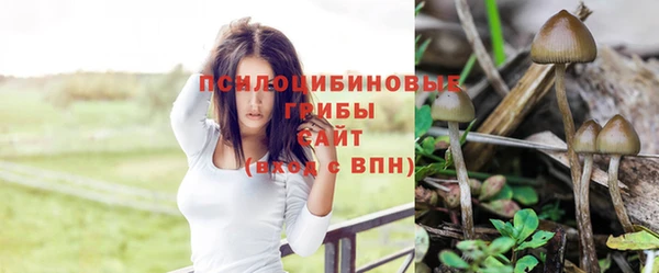 мет Алзамай