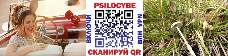 цены наркотик Павлово Псилоцибиновые грибы MAGIC MUSHROOMS