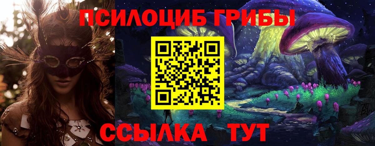 Псилоцибиновые грибы MAGIC MUSHROOMS Павлово
