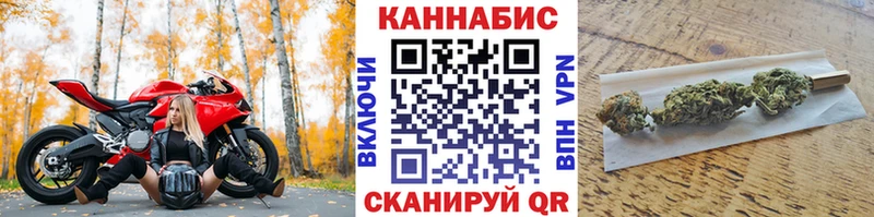 Конопля Bruce Banner  Павлово 